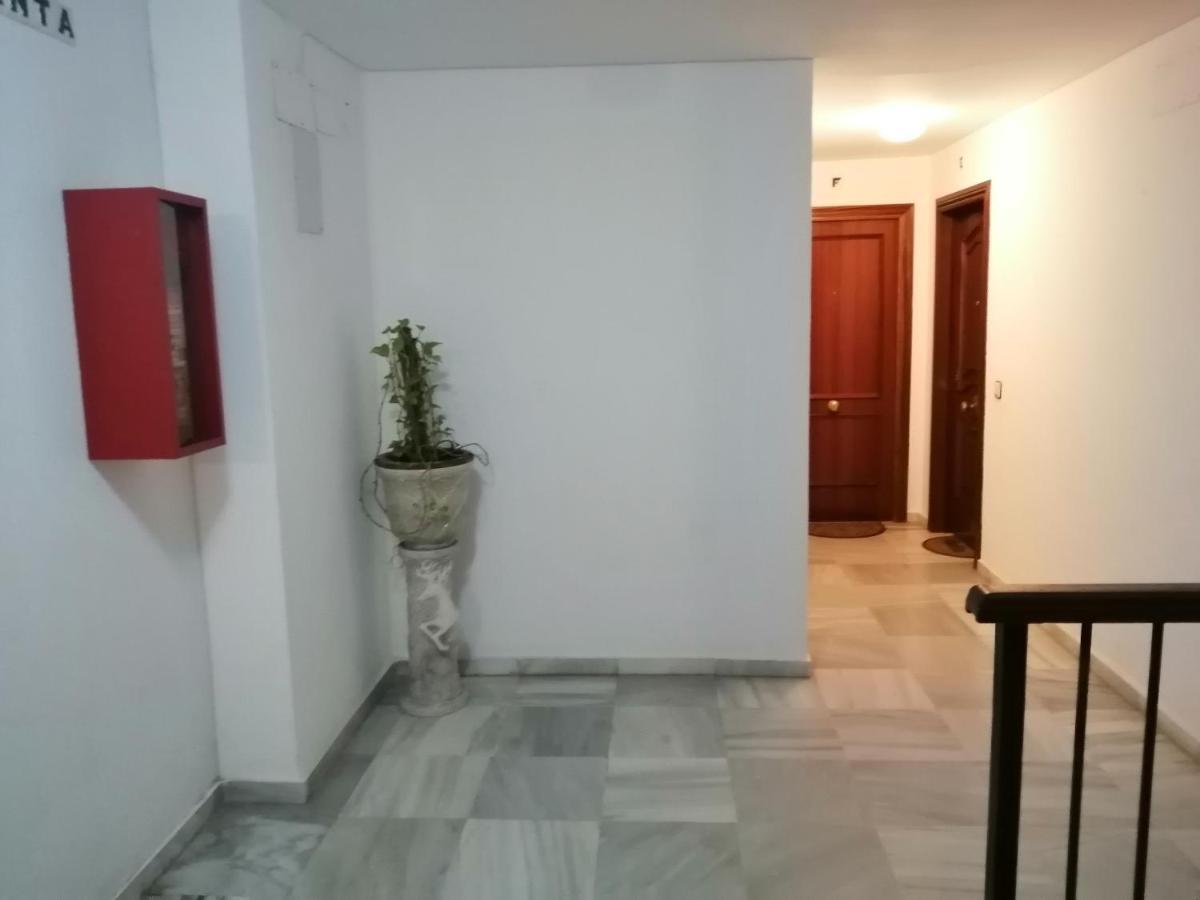 טריפה Apartamento Luz מראה חיצוני תמונה